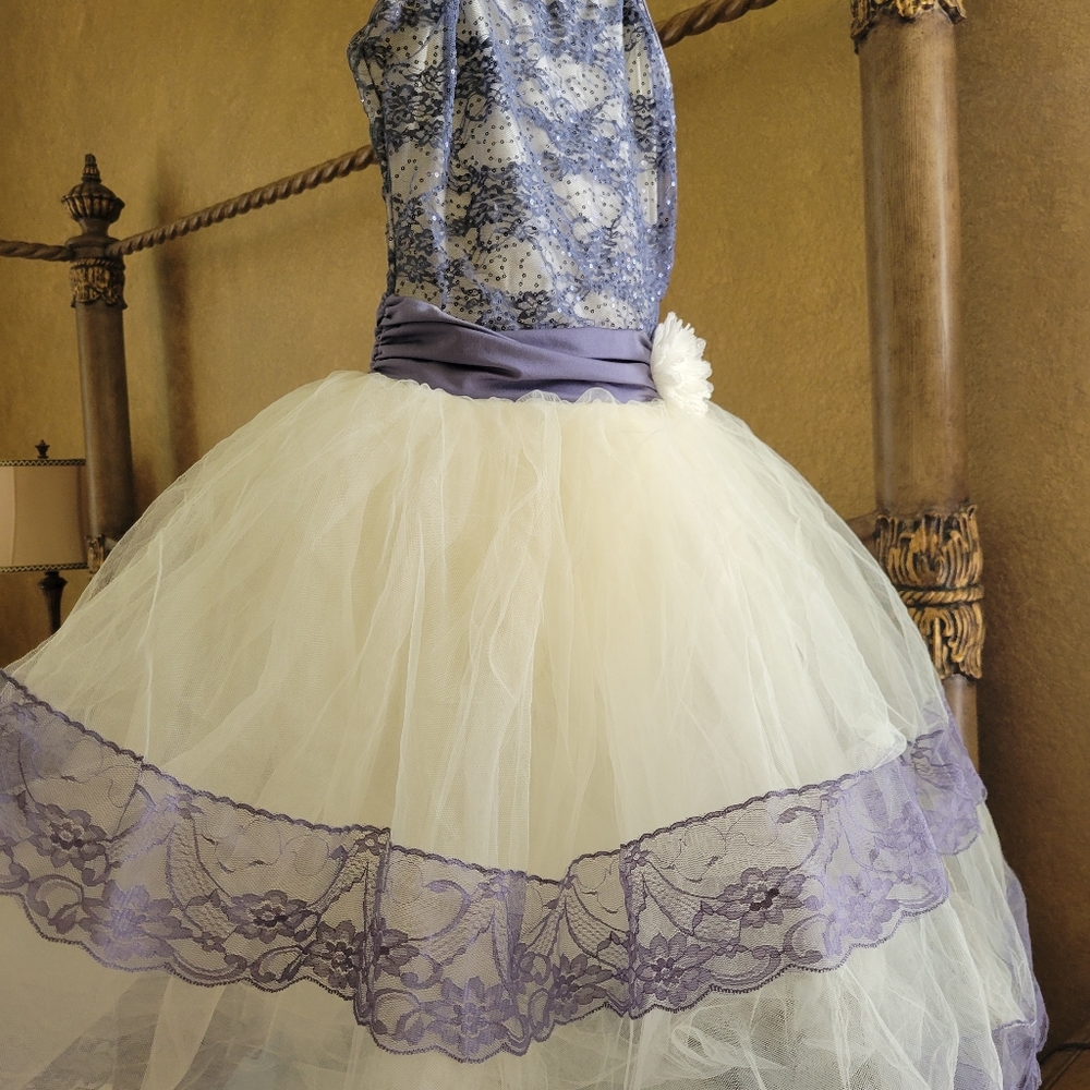 Gorgeous dance costume/dress